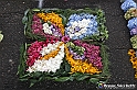 VBS_9625 - Infiorata di Villanova d'Asti 2023